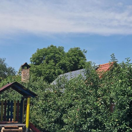 Pensiunea Silba Vad  Exterior foto